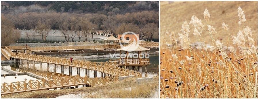 房山牛口峪湿地公园观景木塑栈道 (1) - 副本